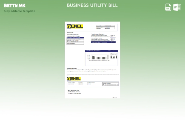 Модерен стил шаблон за деловна сметка за електрична енергија на компанијата Ника